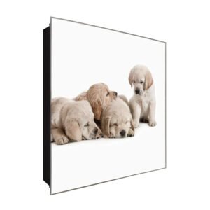  Schlüsselkasten 'Hunde' 30x30 Glas, inkl. Haken Schlüsselbrett Schlüssel-Box Design Aufbewahrung