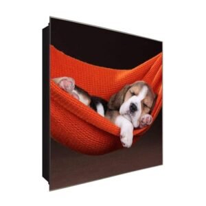  Schlüsselkasten 'Hundewelpe Relax' 30x30 Glas, inkl. Haken Schlüsselbrett Schlüssel-Box Design Aufbewahrung