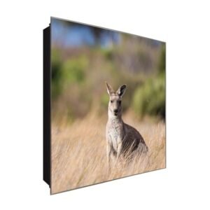  Schlüsselkasten 'Känguru' 30x30 Glas, inkl. Haken Schlüsselbrett Schlüssel-Box Design Aufbewahrung