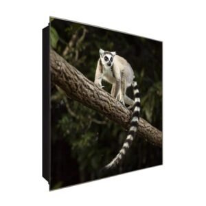  Schlüsselkasten 'Katta' 30x30 Glas, inkl. Haken Schlüsselbrett Schlüssel-Box Design Aufbewahrung