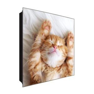  Schlüsselkasten 'Katzenbaby Orange ' 30x30 Glas, inkl. Haken Schlüsselbrett Schlüssel-Box Design Aufbewahrung