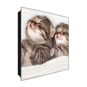  Schlüsselkasten 'Kitten Liebe ' 30x30 Glas, inkl. Haken Schlüsselbrett Schlüssel-Box Design Aufbewahrung