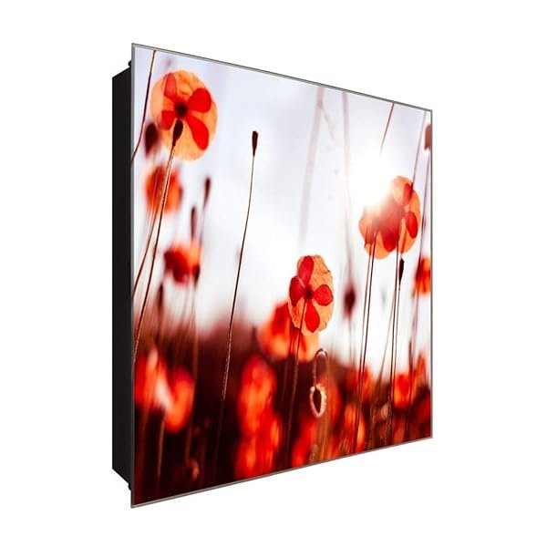 Schlüsselkasten 'Klatschmohn Wiese ' 30x30 Glas, inkl. Haken Schlüsselbrett Schlüssel-Box Design Aufbewahrung