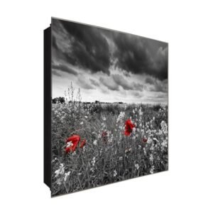  Schlüsselkasten 'Klatschmohnwiese ' 30x30 Glas, inkl. Haken Schlüsselbrett Schlüssel-Box Design Aufbewahrung