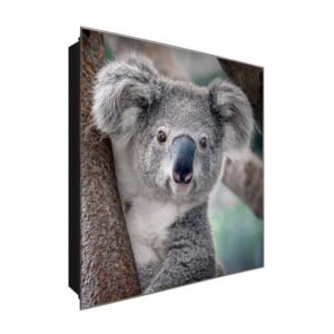  Schlüsselkasten 'Koala' 30x30 Glas, inkl. Haken Schlüsselbrett Schlüssel-Box Design Aufbewahrung