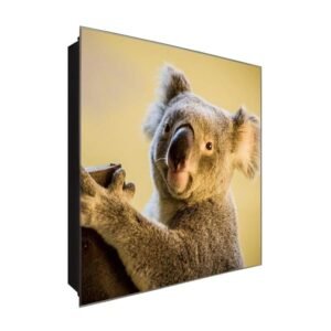  Schlüsselkasten 'Koala' 30x30 Glas, inkl. Haken Schlüsselbrett Schlüssel-Box Design Aufbewahrung