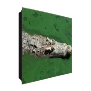  Schlüsselkasten 'Krokodil' 30x30 Glas, inkl. Haken Schlüsselbrett Schlüssel-Box Design Aufbewahrung
