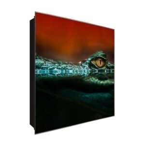  Schlüsselkasten 'Krokodil Auge ' 30x30 Glas, inkl. Haken Schlüsselbrett Schlüssel-Box Design Aufbewahrung