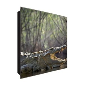  Schlüsselkasten 'Krokodil am Fluss' 30x30 Glas, inkl. Haken Schlüsselbrett Schlüssel-Box Design Aufbewahrung