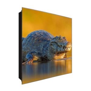  Schlüsselkasten 'Krokodil beim Sonnen' 30x30 Glas, inkl. Haken Schlüsselbrett Schlüssel-Box Design Aufbewahrung