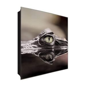  Schlüsselkasten 'Krokodilaugen' 30x30 Glas, inkl. Haken Schlüsselbrett Schlüssel-Box Design Aufbewahrung