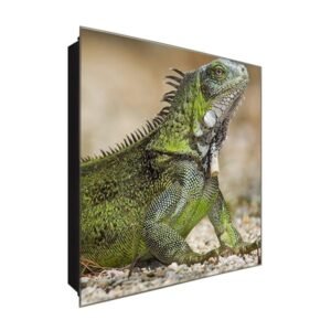  Schlüsselkasten 'Leguan Drache' 30x30 Glas, inkl. Haken Schlüsselbrett Schlüssel-Box Design Aufbewahrung
