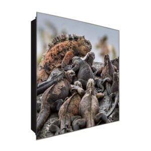  Schlüsselkasten 'Leguan Familie' 30x30 Glas, inkl. Haken Schlüsselbrett Schlüssel-Box Design Aufbewahrung