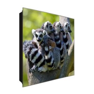  Schlüsselkasten 'Lemuren Familie' 30x30 Glas, inkl. Haken Schlüsselbrett Schlüssel-Box Design Aufbewahrung