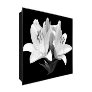  Schlüsselkasten 'Liliana' 30x30 Glas, inkl. Haken Schlüsselbrett Schlüssel-Box Design Aufbewahrung