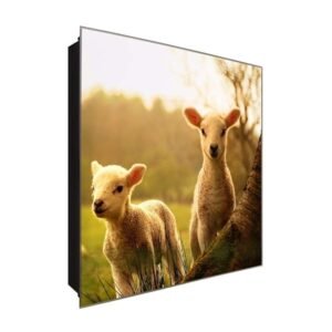  Schlüsselkasten 'Little sheap ' 30x30 Glas, inkl. Haken Schlüsselbrett Schlüssel-Box Design Aufbewahrung