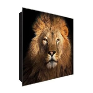  Schlüsselkasten 'Löwenkopf' 30x30 Glas, inkl. Haken Schlüsselbrett Schlüssel-Box Design Aufbewahrung