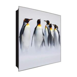  Schlüsselkasten 'Lustige Pinguine' 30x30 Glas, inkl. Haken Schlüsselbrett Schlüssel-Box Design Aufbewahrung