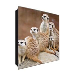  Schlüsselkasten 'Mangusten' 30x30 Glas, inkl. Haken Schlüsselbrett Schlüssel-Box Design Aufbewahrung