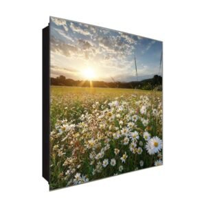  Schlüsselkasten 'Margeriten Wiese' 30x30 Glas, inkl. Haken Schlüsselbrett Schlüssel-Box Design Aufbewahrung