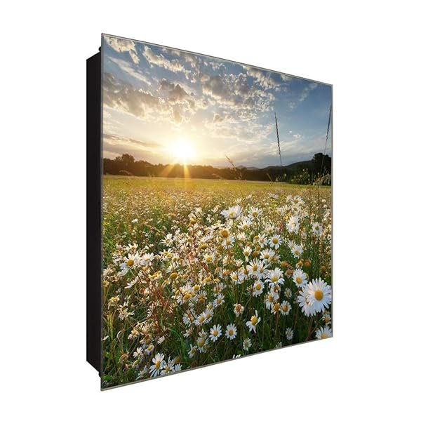 Schlüsselkasten 'Margeriten Wiese' 30x30 Glas, inkl. Haken Schlüsselbrett Schlüssel-Box Design Aufbewahrung