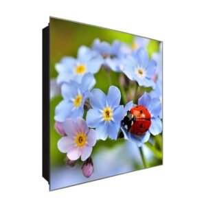  Schlüsselkasten 'Marienkäfer' 30x30 Glas, inkl. Haken Schlüsselbrett Schlüssel-Box Design Aufbewahrung