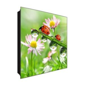  Schlüsselkasten 'Marienkäfer Duo' 30x30 Glas, inkl. Haken Schlüsselbrett Schlüssel-Box Design Aufbewahrung