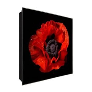  Schlüsselkasten 'Mohnblume' 30x30 Glas, inkl. Haken Schlüsselbrett Schlüssel-Box Design Aufbewahrung