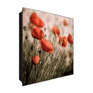  Schlüsselkasten 'Mohnblume im Feld' 30x30 Glas, inkl. Haken Schlüsselbrett Schlüssel-Box Design Aufbewahrung