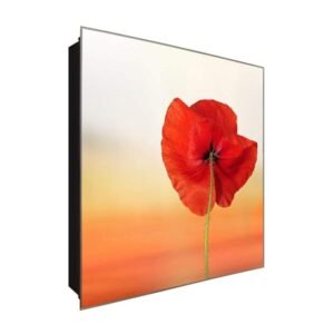  Schlüsselkasten 'Mohnblume im Licht' 30x30 Glas, inkl. Haken Schlüsselbrett Schlüssel-Box Design Aufbewahrung