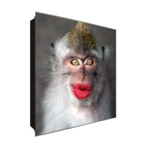  Schlüsselkasten 'Monkey Lips' 30x30 Glas, inkl. Haken Schlüsselbrett Schlüssel-Box Design Aufbewahrung