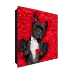  Schlüsselkasten 'Mops' 30x30 Glas, inkl. Haken Schlüsselbrett Schlüssel-Box Design Aufbewahrung