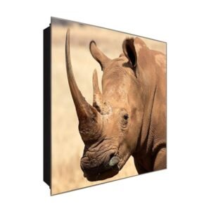  Schlüsselkasten 'Nashorn Erlebnis' 30x30 Glas, inkl. Haken Schlüsselbrett Schlüssel-Box Design Aufbewahrung