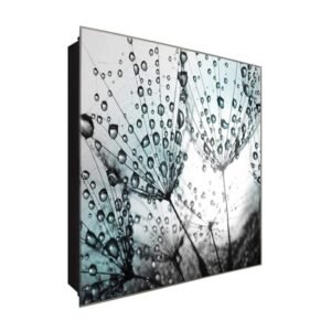  Schlüsselkasten 'Nasse Pusteblume' 30x30 Glas, inkl. Haken Schlüsselbrett Schlüssel-Box Design Aufbewahrung