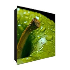  Schlüsselkasten 'Nasser Apfel' 30x30 Glas, inkl. Haken Schlüsselbrett Schlüssel-Box Design Aufbewahrung