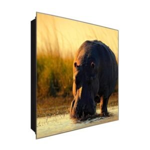  Schlüsselkasten 'Nilpferd am Fluss' 30x30 Glas, inkl. Haken Schlüsselbrett Schlüssel-Box Design Aufbewahrung