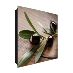  Schlüsselkasten 'Olivenzweig' 30x30 Glas, inkl. Haken Schlüsselbrett Schlüssel-Box Design Aufbewahrung