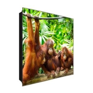  Schlüsselkasten 'Orang-Utans Kinder' 30x30 Glas, inkl. Haken Schlüsselbrett Schlüssel-Box Design Aufbewahrung