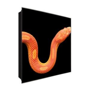  Schlüsselkasten 'Orange Snape' 30x30 Glas, inkl. Haken Schlüsselbrett Schlüssel-Box Design Aufbewahrung