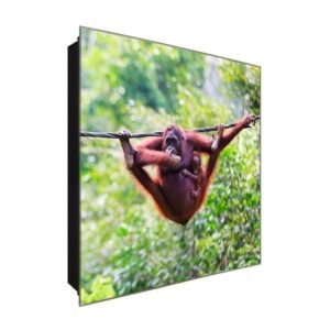  Schlüsselkasten 'Orangutha Love' 30x30 Glas, inkl. Haken Schlüsselbrett Schlüssel-Box Design Aufbewahrung