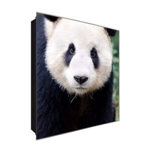  Schlüsselkasten 'Panda Porträt' 30x30 Glas, inkl. Haken Schlüsselbrett Schlüssel-Box Design Aufbewahrung