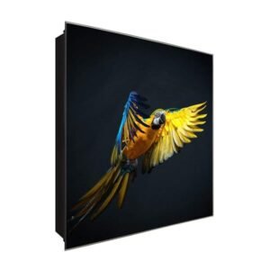  Schlüsselkasten 'Papageien im Anflug' 30x30 Glas, inkl. Haken Schlüsselbrett Schlüssel-Box Design Aufbewahrung