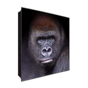  Schlüsselkasten 'Primaten ' 30x30 Glas, inkl. Haken Schlüsselbrett Schlüssel-Box Design Aufbewahrung