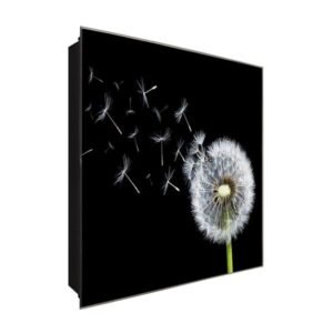  Schlüsselkasten 'Puste einmal' 30x30 Glas, inkl. Haken Schlüsselbrett Schlüssel-Box Design Aufbewahrung