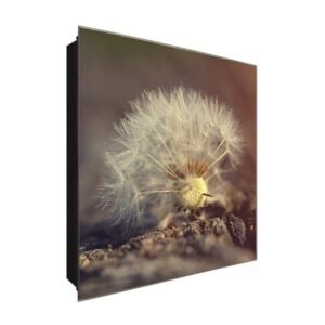  Schlüsselkasten 'Pusteblume Asphalt' 30x30 Glas, inkl. Haken Schlüsselbrett Schlüssel-Box Design Aufbewahrung