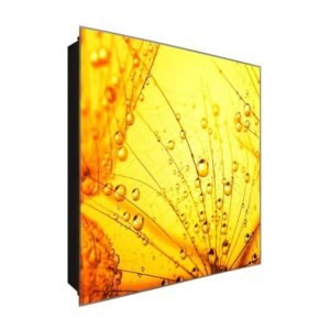  Schlüsselkasten 'Pusteblume Makro' 30x30 Glas, inkl. Haken Schlüsselbrett Schlüssel-Box Design Aufbewahrung