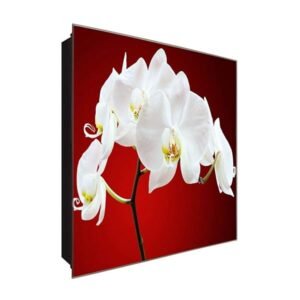  Schlüsselkasten 'Red Orchidee' 30x30 Glas, inkl. Haken Schlüsselbrett Schlüssel-Box Design Aufbewahrung