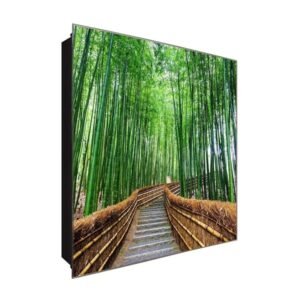  Schlüsselkasten 'Regenwald Treppe' 30x30 Glas, inkl. Haken Schlüsselbrett Schlüssel-Box Design Aufbewahrung