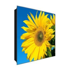  Schlüsselkasten 'Rießen Sonnenblume' 30x30 Glas, inkl. Haken Schlüsselbrett Schlüssel-Box Design Aufbewahrung