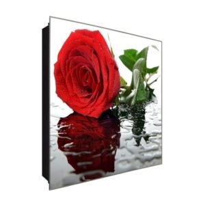  Schlüsselkasten 'Rose' 30x30 Glas, inkl. Haken Schlüsselbrett Schlüssel-Box Design Aufbewahrung